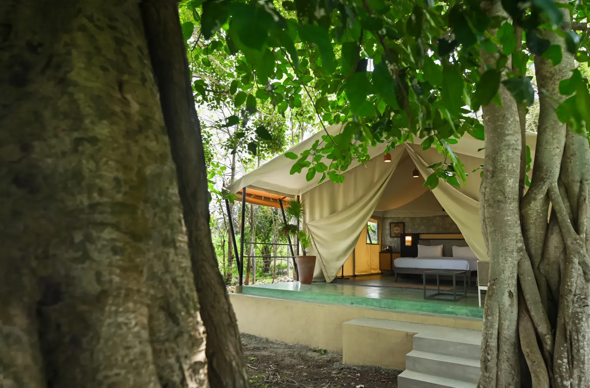 Fireflies Resort 3