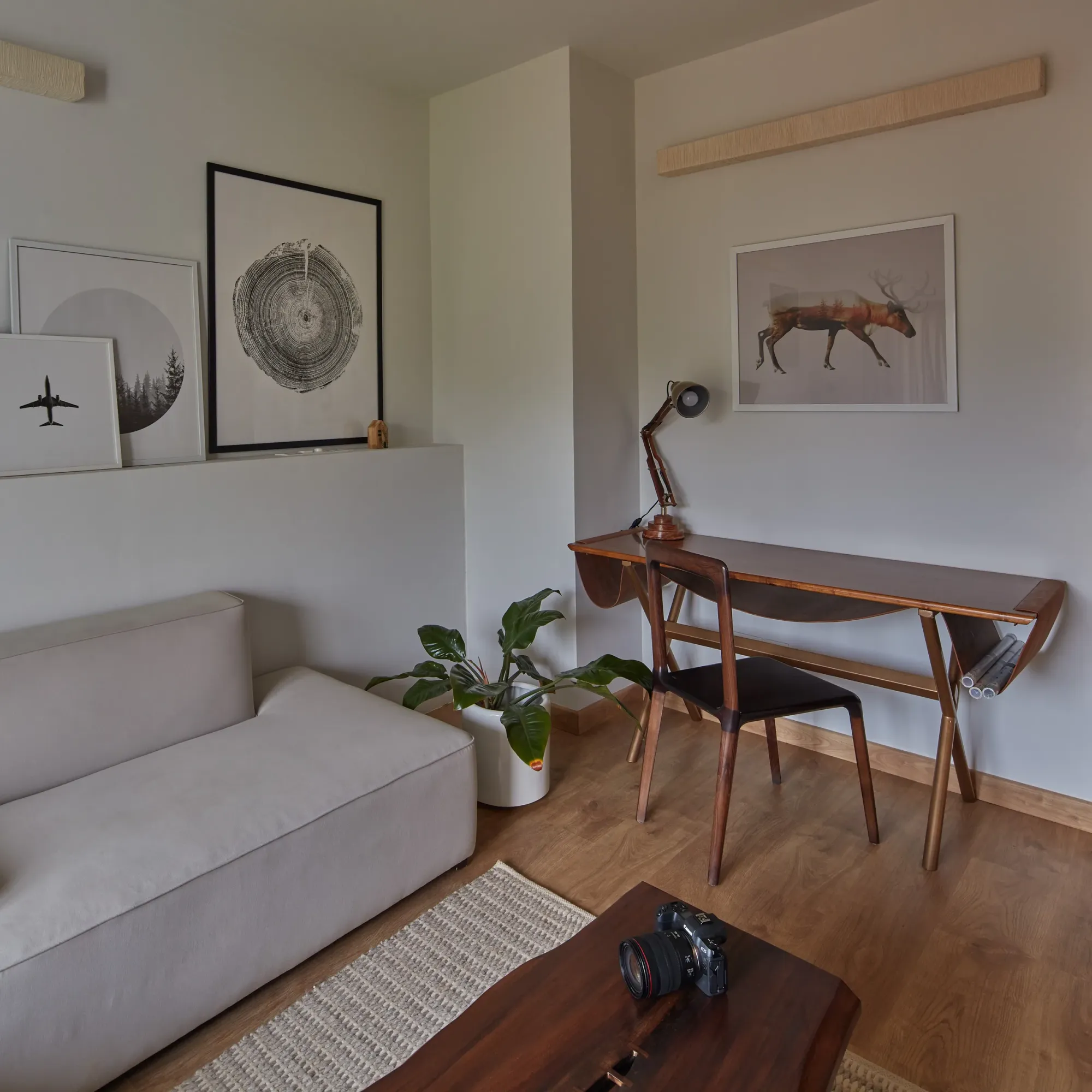 The Collective Home 6